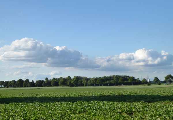 Gerstenfeld