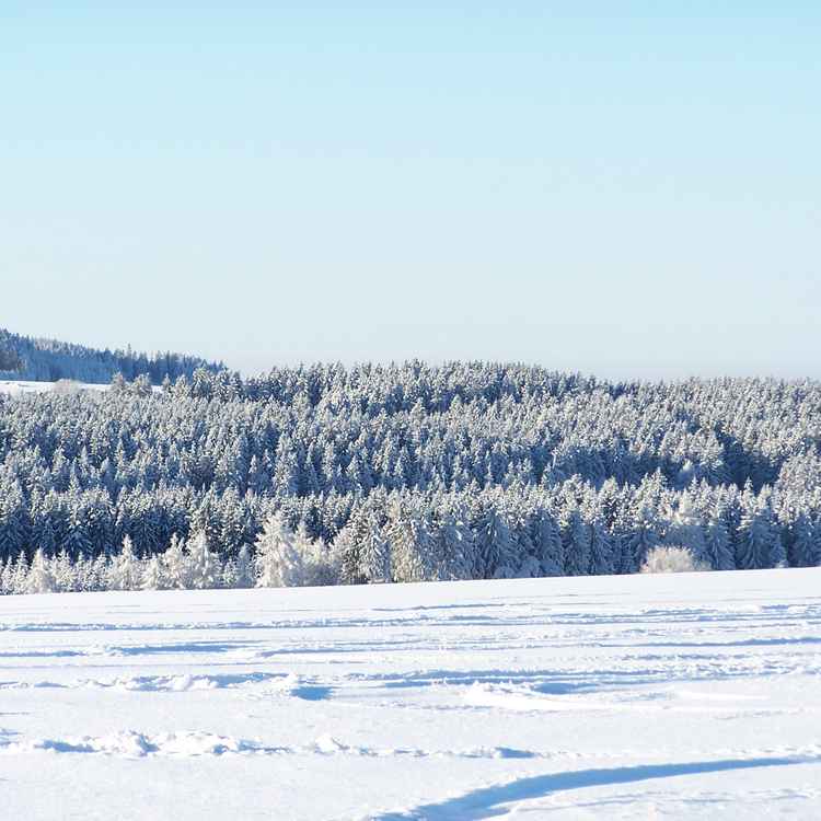 Ein ganz normaler Winter.