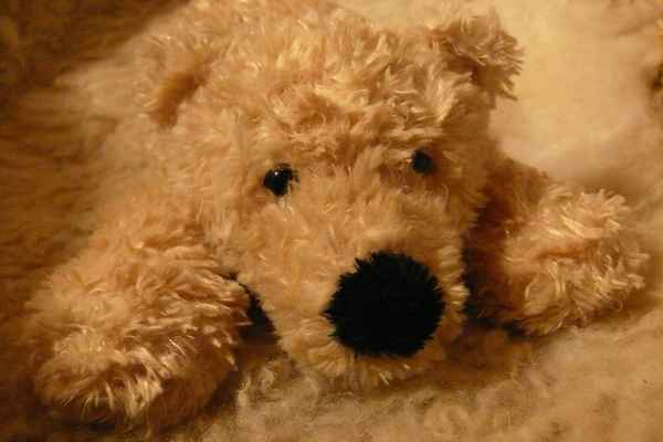Kuschelbär