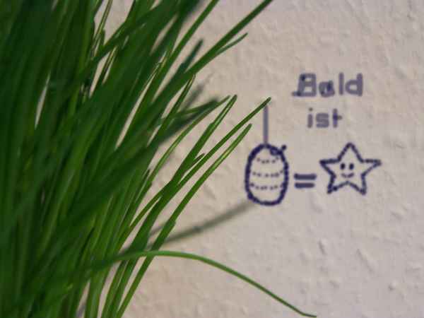 Bald ist O-Stern!