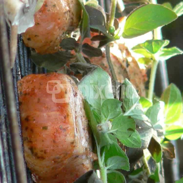 Grillfleisch