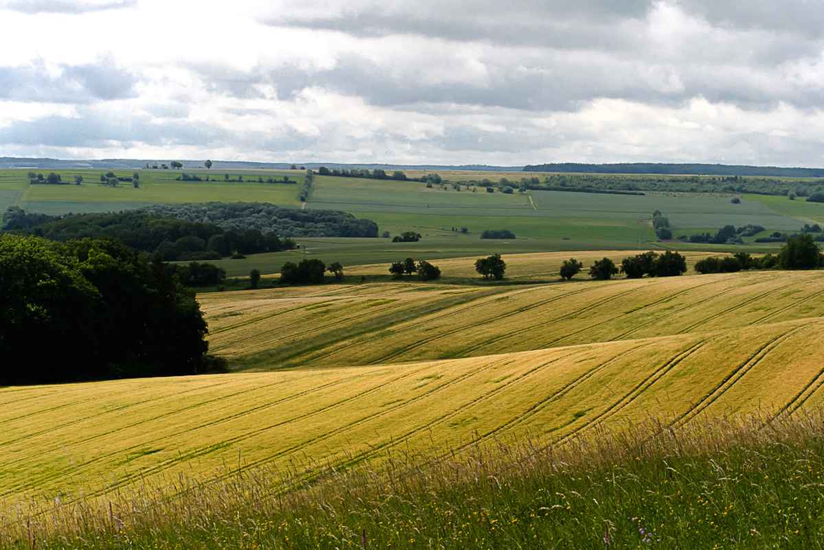 Lebensr&auml;ume f&uuml;r Mensch und Tier