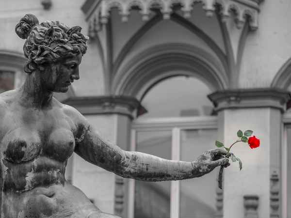 Ein stacheliger Gruß zum Valentinstag ...