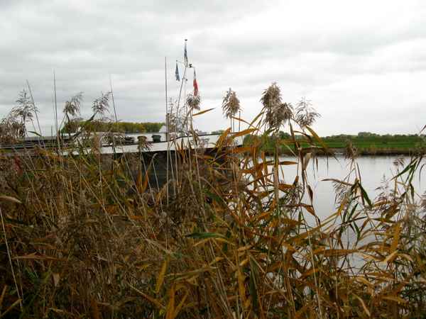 Herbst an der Stör