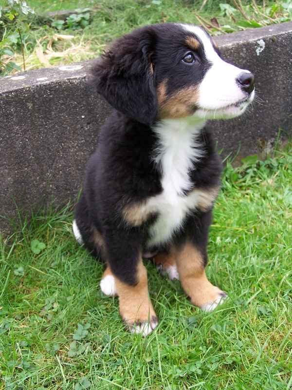 Ich bin lieb!