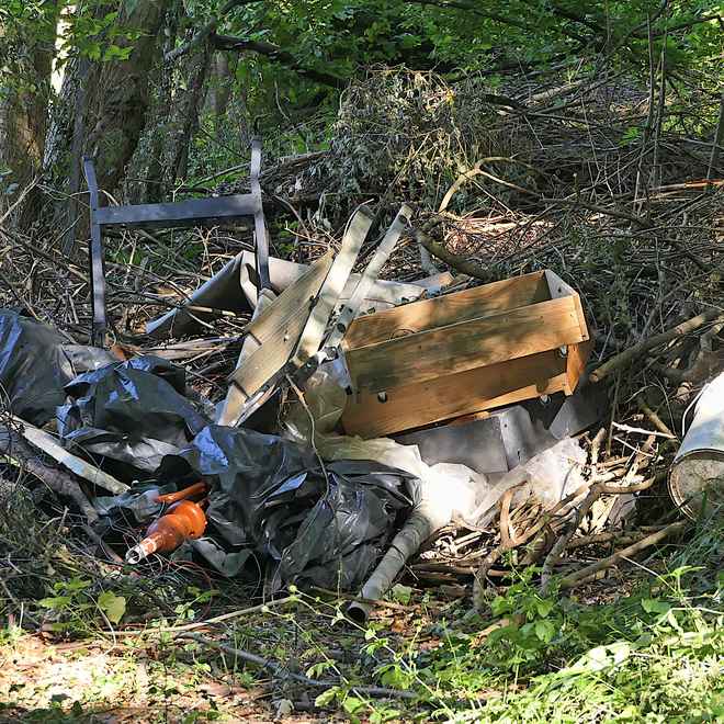 Objekte am Waldrand ......