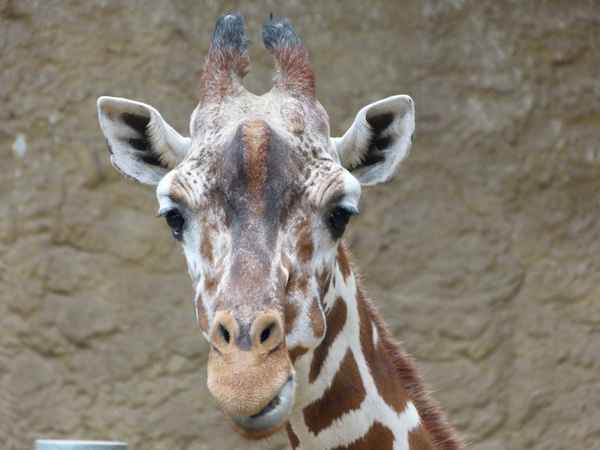 Da guckst Du