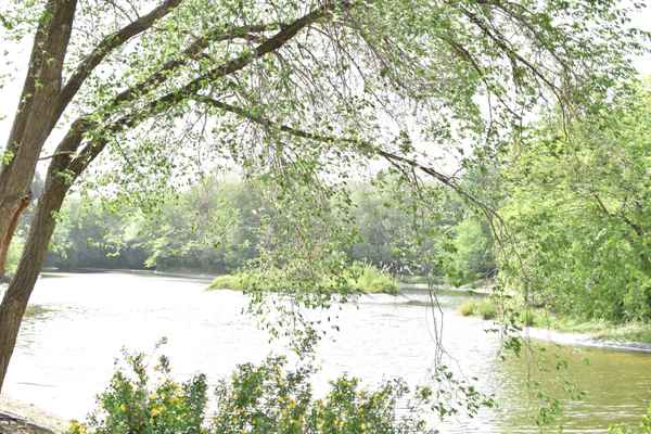 nature