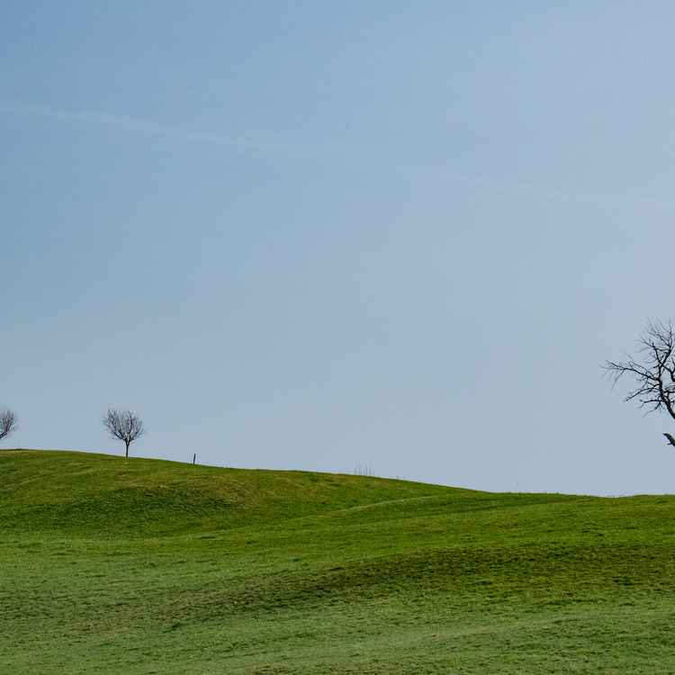 Der Grosse und die drei Kleinen