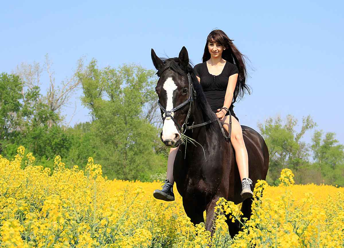 In schwarz durch den Raps