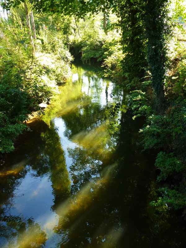 Mühlkanal im Morgenlicht