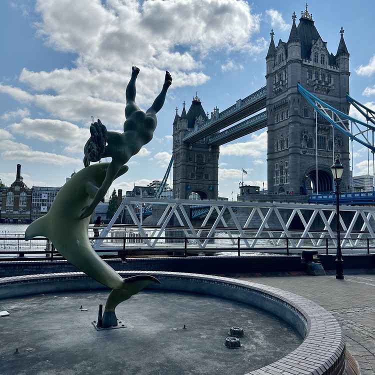 The girl and the dolphin