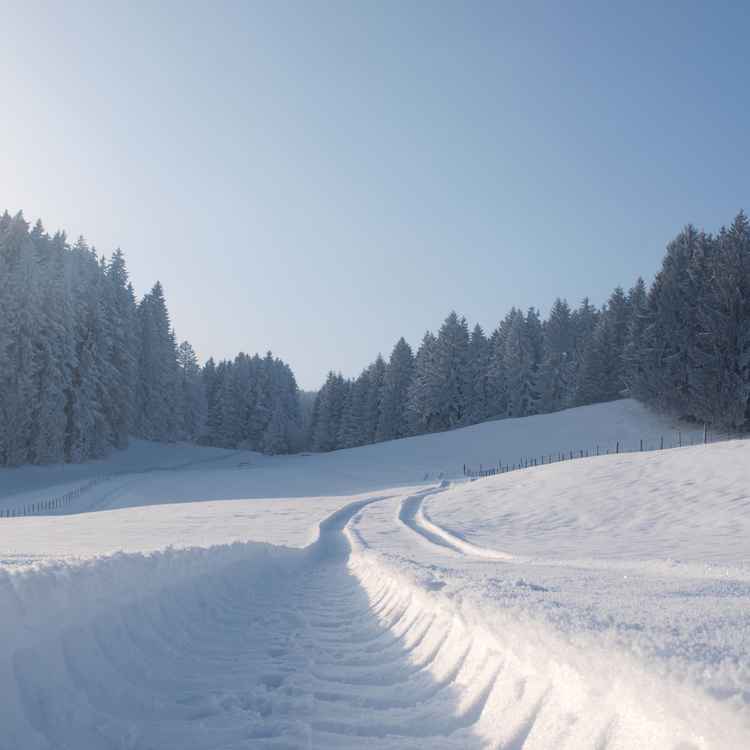 Reifenspur in verschneiter Landschaft