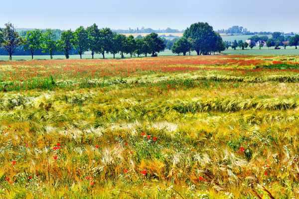im Altenburger Land