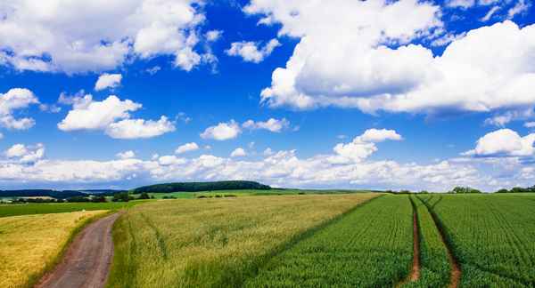 Wolken&Felder