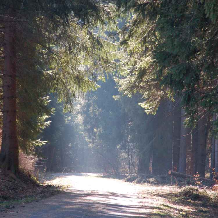 Vom Dunkel ins Licht