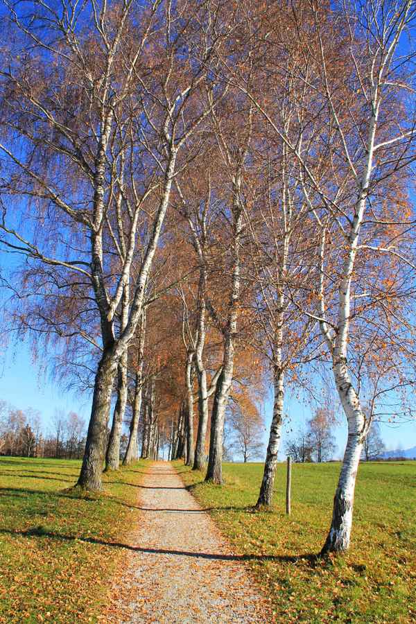 Herbstleuchten im November 06