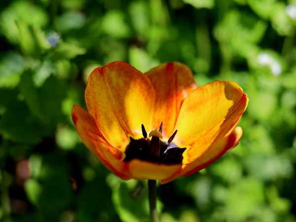 licht und schatten