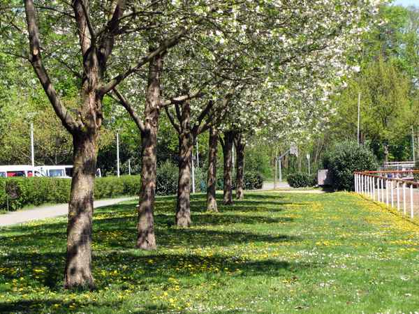 Es wird Frühling