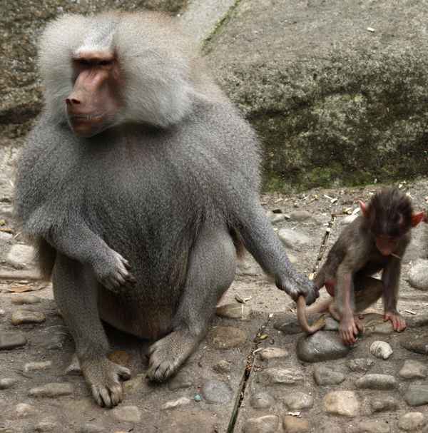 H I E R   G E B L I E B E N ! ! !