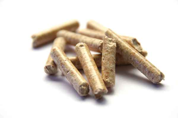 Pellets im Fokus