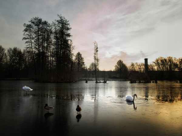 eine kleine bildergeschichte 04 : kehrtwende