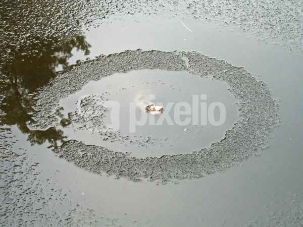 Magic circle