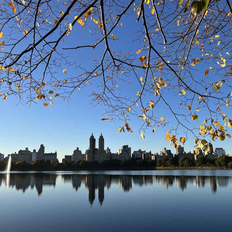Central Park im Herbst