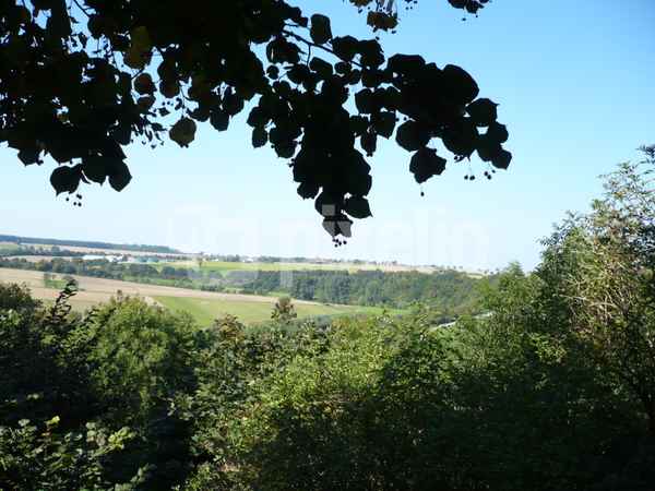 Entlang der Alme 17 Blick ins Almetal von der Wewelsburg