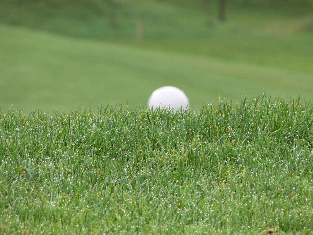 im Gras verschwunden