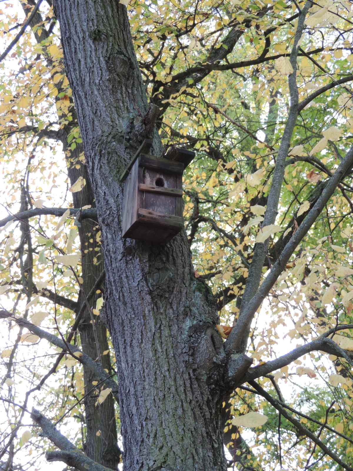 Vogelhaus