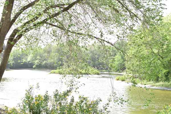 nature