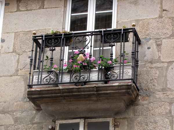 Auf dem Weg nach Santiago immer präsent - die Jakobsmuschel