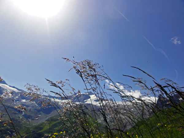 Der Sonne entgegen ...