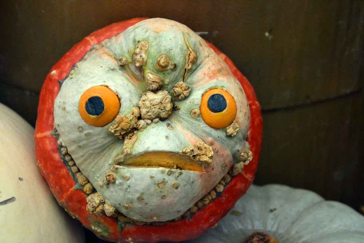 Halloween-Kürbis