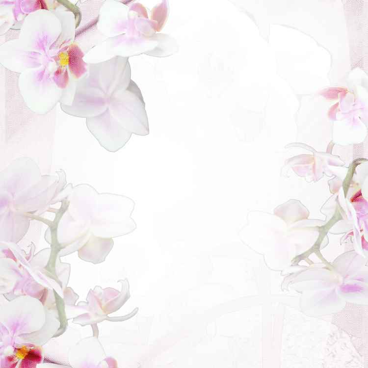 Briefpapier Orchidee hell