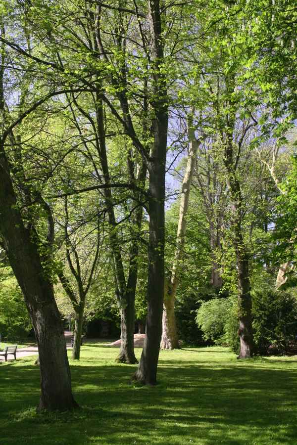 Sonntags im Park