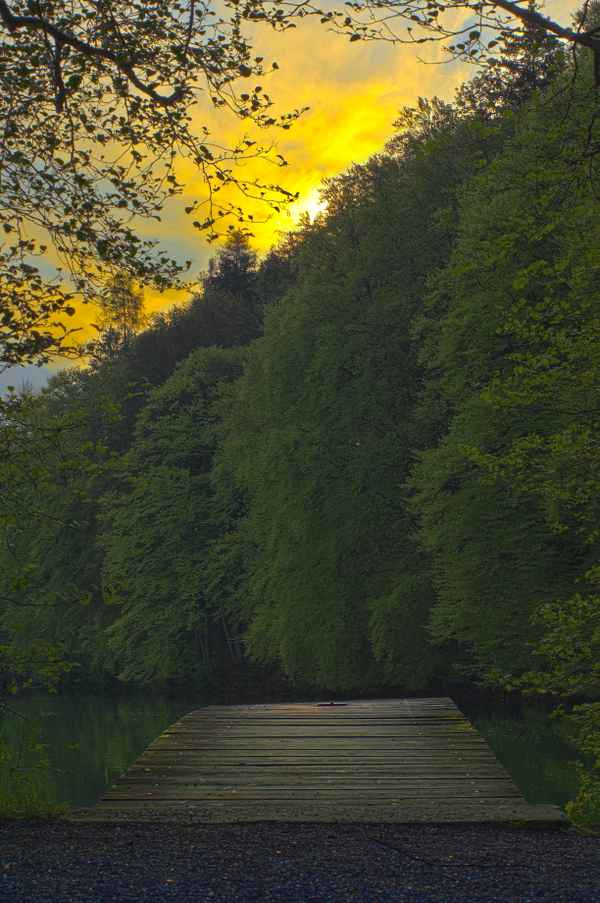 Steg im Morgenlicht