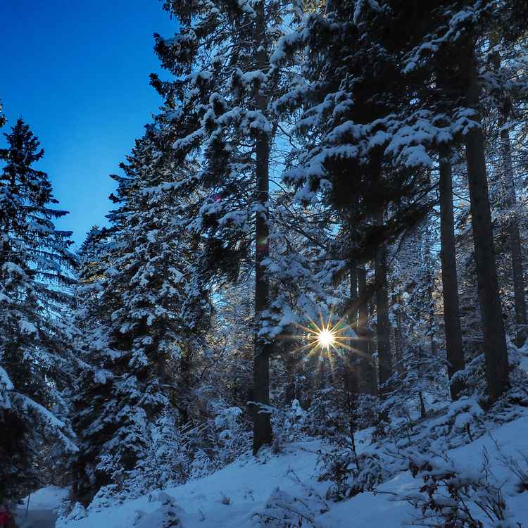 winterstimmung