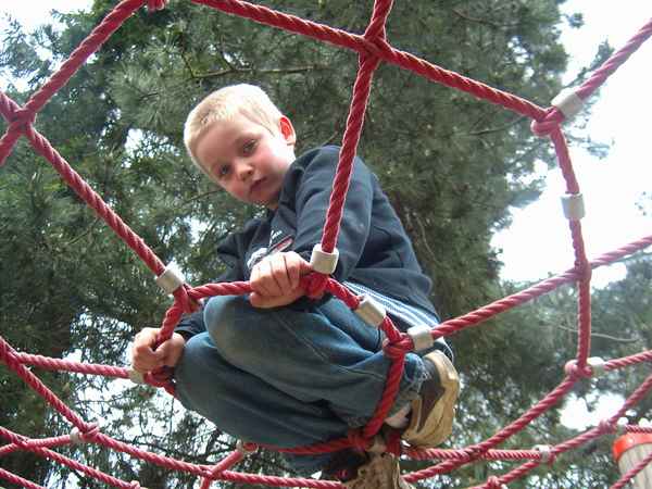 Spiderboy