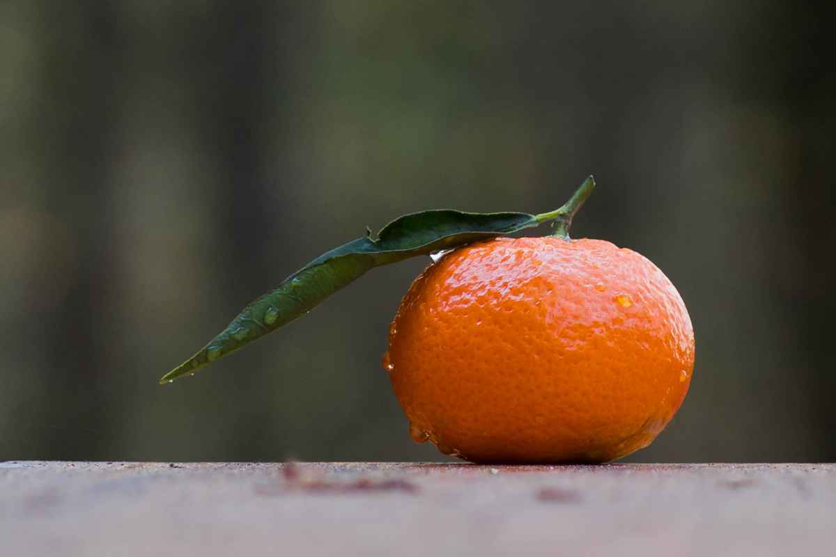 Die Mandarine