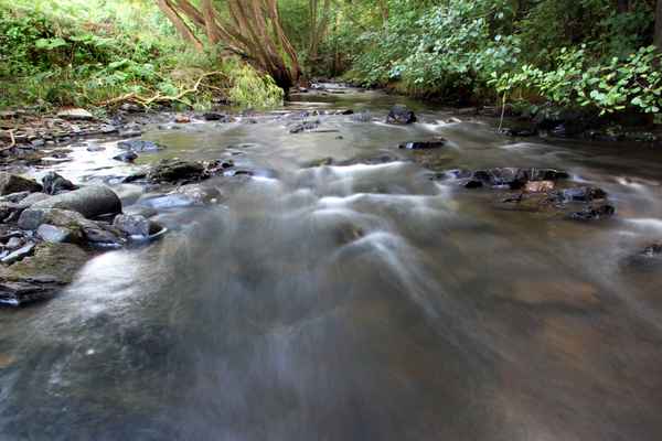 Rauschender Bach