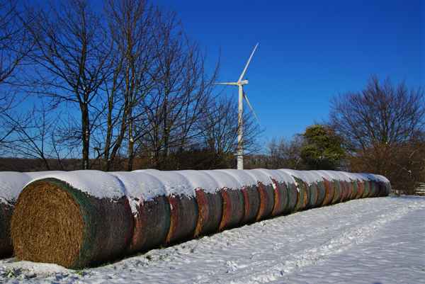 Schnee-Rollen