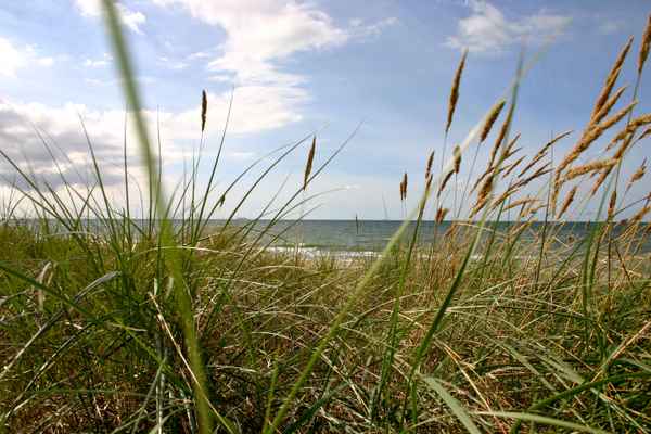 Hinter der Düne