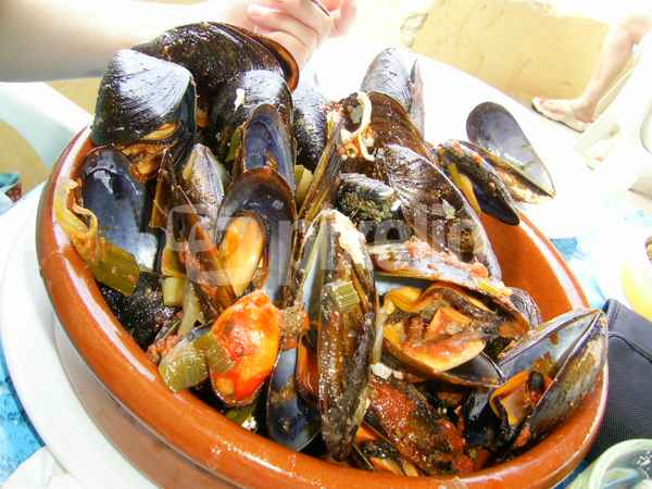 Mallorca 2008_2