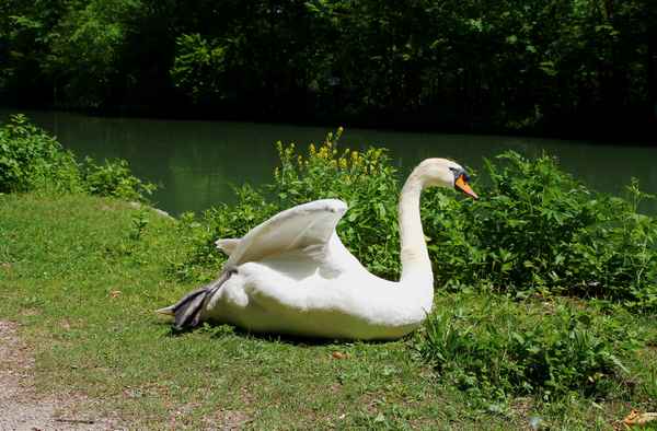 Vom Schönheitsschlaf erwacht...02