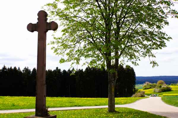 Maiwanderung am Steinernen Kreuz