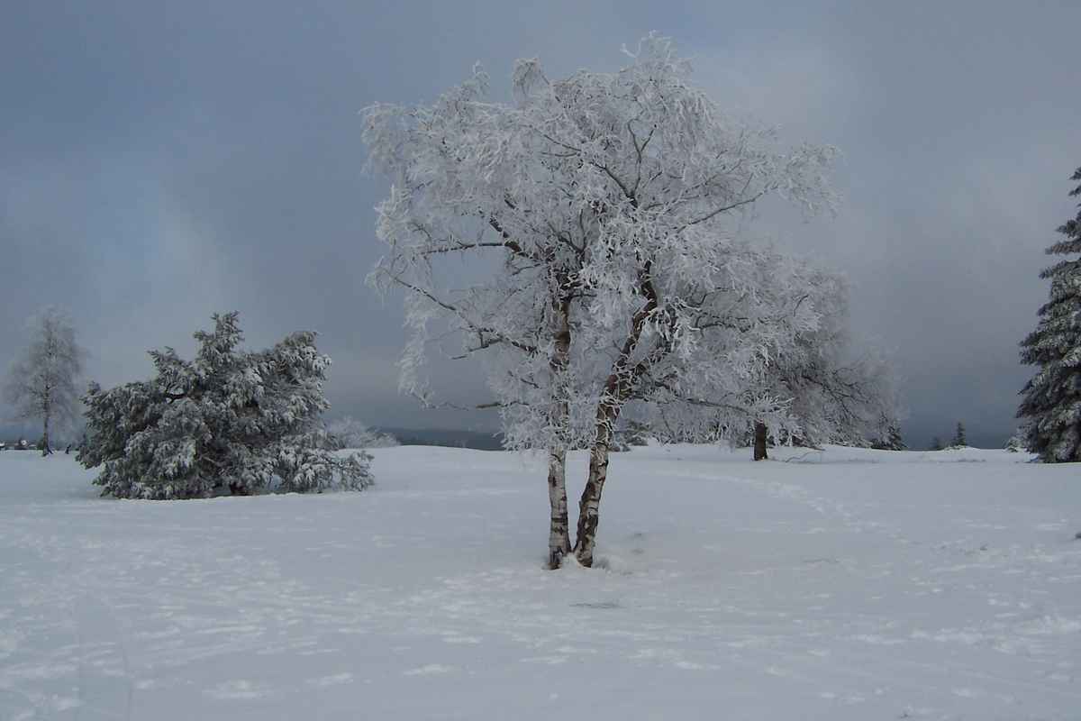 Winterberg