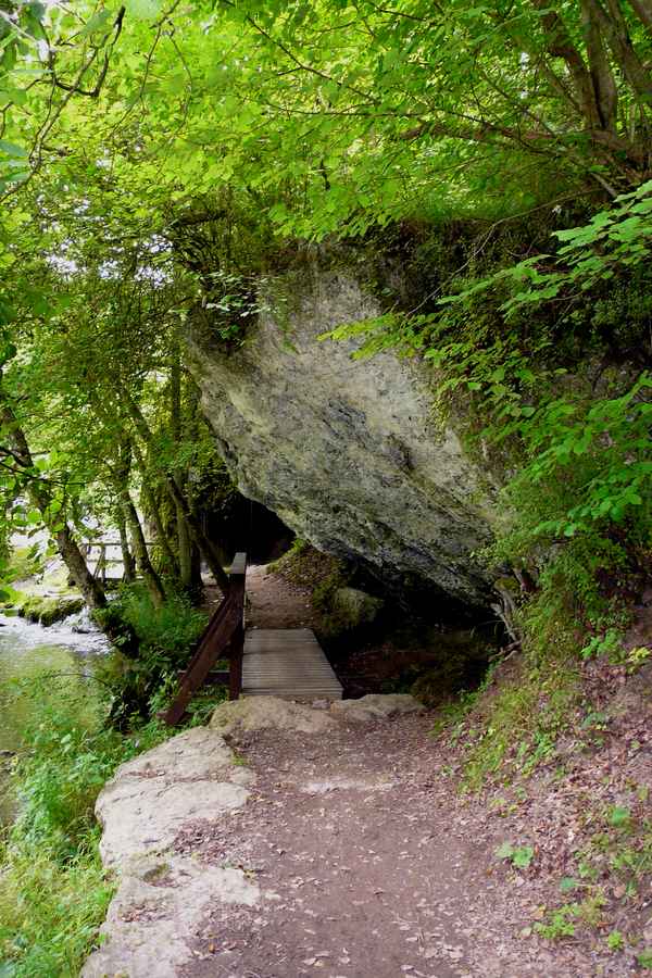 In den Wäldern der Vulkaneifel #9