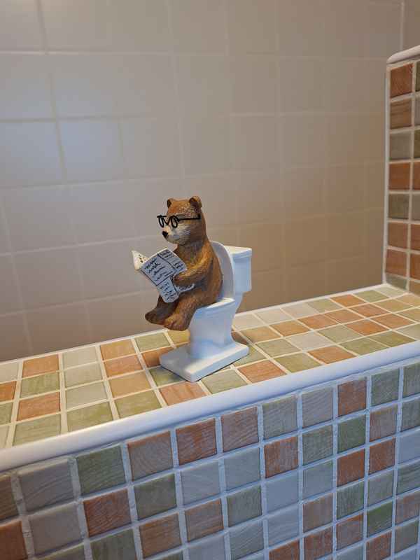 nie mehr allein im Badezimmer